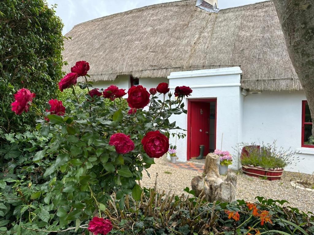 Bed and Breakfast Quay House Wexford Exterior foto