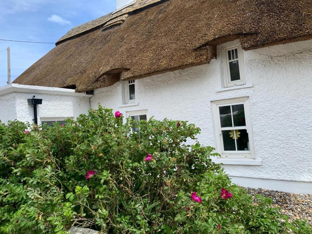 Bed and Breakfast Quay House Wexford Exterior foto