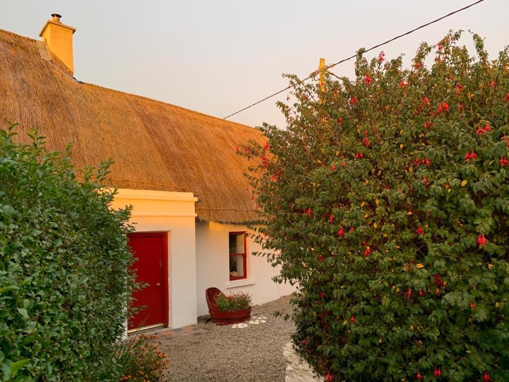 Bed and Breakfast Quay House Wexford Exterior foto